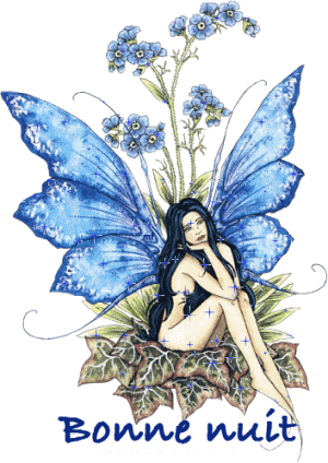 http://img23.xooimage.com/files/0/3/4/bonnuitfemme_012-36b565.gif
