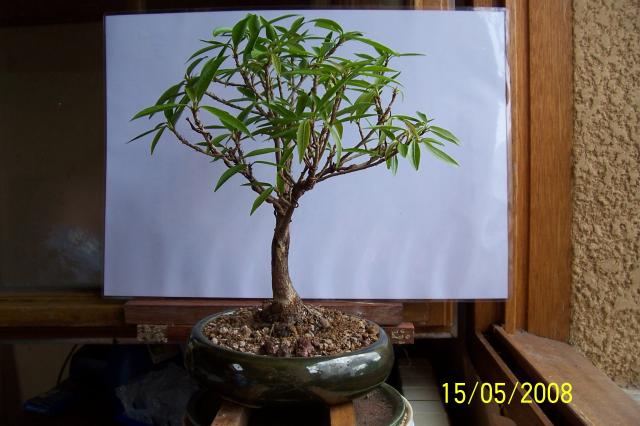 Image: 100_6744-3860a7.jpg