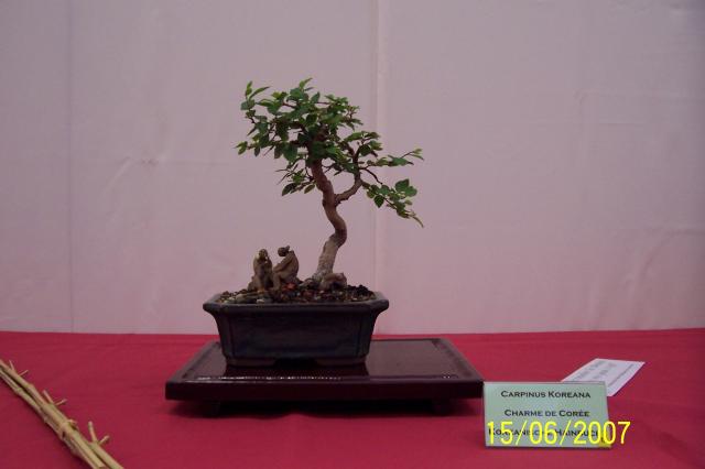 Image: 100_6845-4204cd.jpg