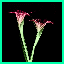 http://img23.xooimage.com/files/6/9/7/muzain-bd1cf0.gif