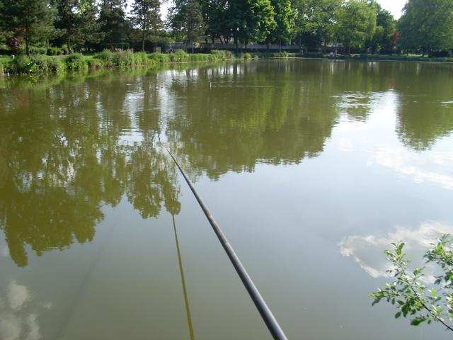 Image: sl370205-343468.jpg