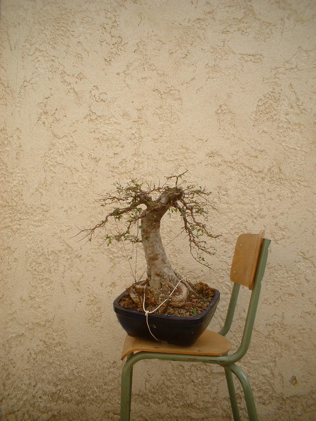 Image: dscf0011-33af7b.jpg