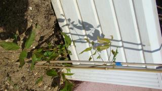 Image: dsc01441-3466df.jpg