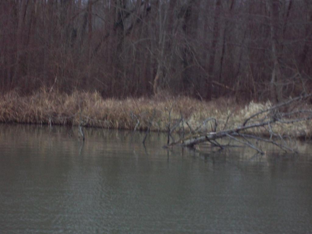 petite sortie pêche au silure C-bb31dd