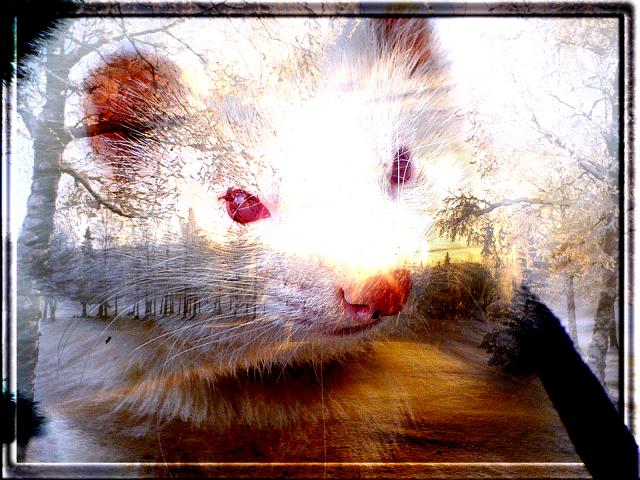 Spike Spike-hommage-181028a