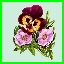 http://img23.xooimage.com/files/a/1/7/031-1a83d97.jpg