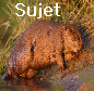 Nouveaux messages&nbsp;[ Verrouill� ]