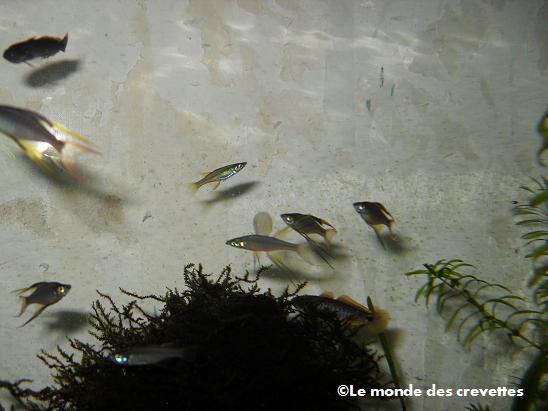 Image: 20091101_23-14d51ae.jpg