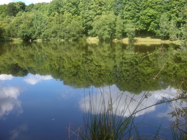 Pêche en haute vienne, la bénéchie ( cussac, chalut) Photo-350-121f1bd