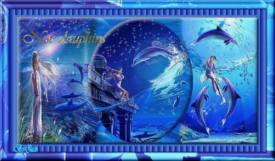 Chez les dauphins Forum Index