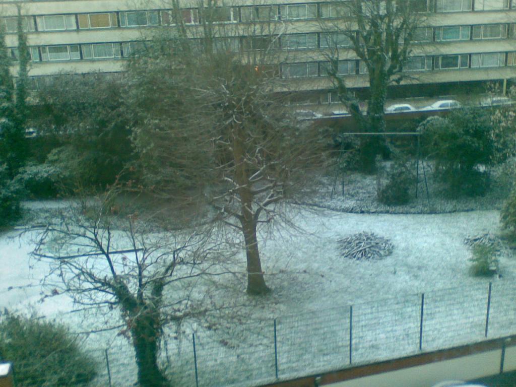 Image: 25032008-001--326075.jpg