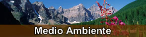 Medio Ambiente