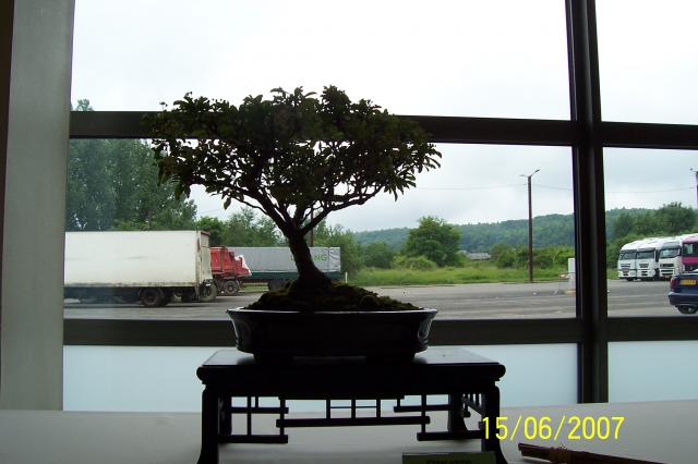 Image: 100_6883-42086b.jpg