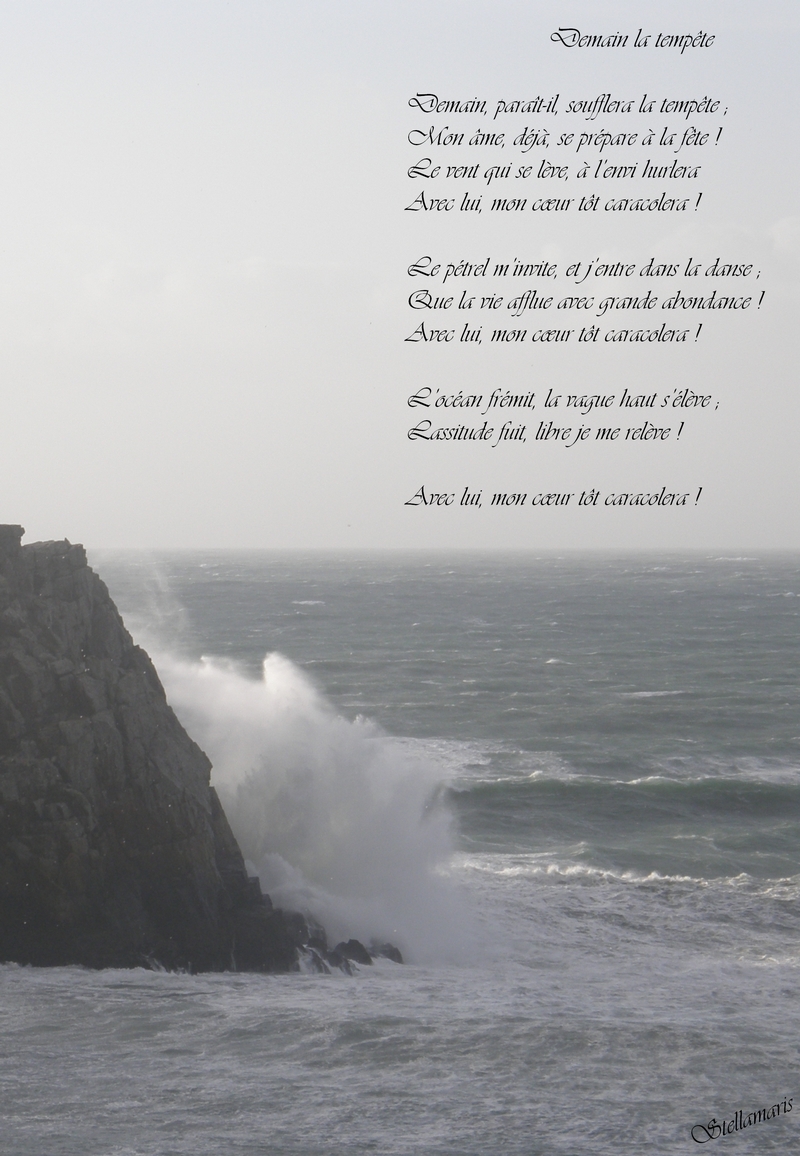 Demain la tempête / /Demain, paraît-il, soufflera la tempête ; / Mon âme, déjà, se prépare à la fête ! / Le vent qui se lève, à l’envi hurlera / Avec lui, mon cœur tôt caracolera ! / / Le pétrel m’invite, et j’entre dans sa danse ; / Que la vie afflue avec grande abondance ! / Avec lui, mon cœur tôt caracolera ! / / L’océan frémit, la vague haut s’élève ; / Lassitude fuit, libre je me relève ! / / Avec lui, mon cœur tôt caracolera ! / / Stellamaris